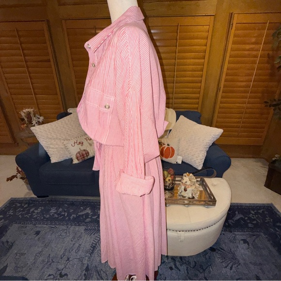 🌸 Free People Pink Striped Button-Front Shirt Dress‎ - Small, Old Money - Picture 4 of 13